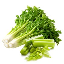 싱싱한 샐러리, 3kg, 1개