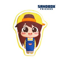 샌드박스프렌즈 도티 잠뜰 쵸쵸우 각별 수현 코아 SD버전 프린트쿠션