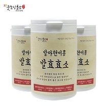 굿모닝효소 발아현미콩 발효 효소 300g 75회섭취, 1통