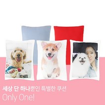 제이지브로 주문제작 포토쿠션(솜포함), 펄블루