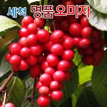 오미자 2022년 세척 문경 오미자 생과 생오미자 5키로 10키로 / 냉동생과로발송, 1개, 5kg