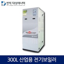 대성에너텍 축열식 전기보일러 산업용 300L, DBE-90