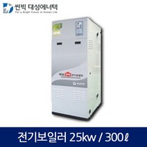 대성 산업용 축열식 전기보일러(25kw/300L) DBE-25