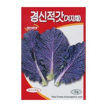 경신종묘 갓씨앗 경신적갓(겨자채) 5g