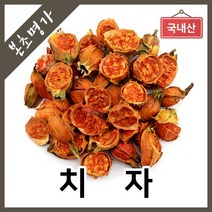 본초명가 치자 치자열매 천연염색, 1개, 300g