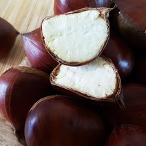 이번가을 공주밤 어떠신가요? 22년 햇 공주알밤 특대 2kg, 1개