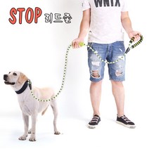 강아지 스토퍼 리드줄 자일로프, 그린