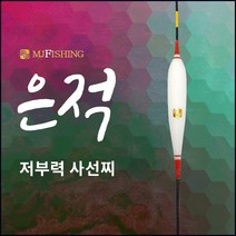 엠제이피싱 은적 민물찌 사선찌 민물낚시 동절기 저부력 나노찌, 500mm, 1개