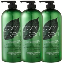 과일나라 그린티 헤어 테라피 샴푸 1500ml, 3개