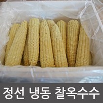 여량농협 냉동옥수수 정선 미백 찰옥수수 삶지않은 생옥수수, 1box, 생 냉동찰옥수수 50개