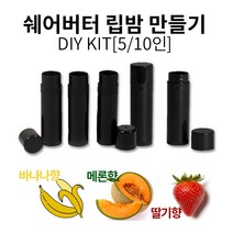 쉐어버터 립밤만들기 DIY키트 스틱타입 5인/10인, 5인-딸기향, 1세트