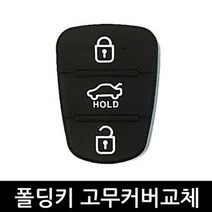 더럭셔리.그랜져TG 2.3버튼 폴딩키용 고무커버 B형
