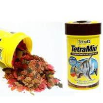 테트라 민 100ml(20g), 1개, 100ml