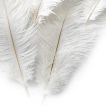 [캔들 디퓨즈재료] 디퓨저 타조 깃털-5개 디퓨즈.인테리어 장식소품, 화이트, 5개