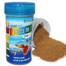 샘아쿠아 세화 비비드 포인원 구피 100g, 1개