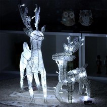 가꾸지오 샤이니루돌프(소)