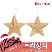 파티해 크리스마스 트리 장식 트리장식볼, C21_펄별100파이(2개입)
