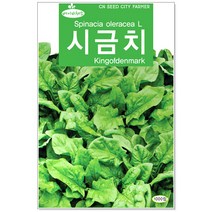 베이비 시금치씨앗 1000립 베이비채소씨앗, 1개