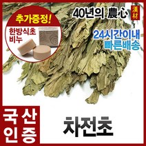 자애인 국산 차전초 300g 질경이차 말린차전초 질경이, 단품