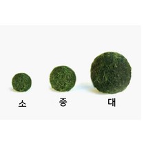 그린테라피 LED 마리모세트 어항볼 애완식물 마리모, 추가구성