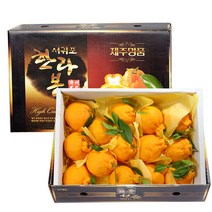 소담촌 한라봉 선물세트, 한라봉 3kg, (14~16개)중과