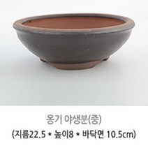 옹기화분 02.2 옹기 야생분-중