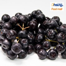 [오성식품] 냉동 블랙초크베리(아로니아) 1kg, 1개