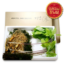 퇴촌 이석철 7-8년근 산양산삼 장뇌삼, 1세트, 10뿌리