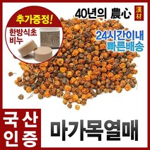자애인 국산 마가목열매 300g 정공목열매 마가자 정공실, 단품