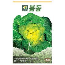 갑조네 잎줄기채소 씨앗 모음, 봄동배추(씨앗), 1개
