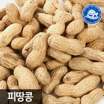 장수왕 피땅콩 500g /정월대보름 부럼 견과 땅콩 견과류, 1봉