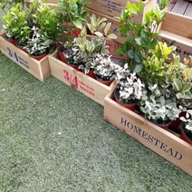 빈티지 방부목 나무화분 나무상자, 1개