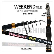 금양 여행용 루어대 강 계류 바다연안 루어낚시 텔레로드, S-605UL