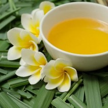 [아로마케이] 캔들 디퓨저 프래그런스오일 50ml 아로마오일(국내산), 시트로넬라50ml