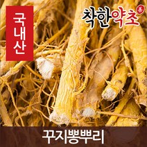 착한약초 국내산 꾸지뽕뿌리 600g, 1개