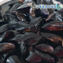 왕조개 키조개1미 외 제철수산물 골라담기 당일조업 총알발송, 1개, 홍합3kg