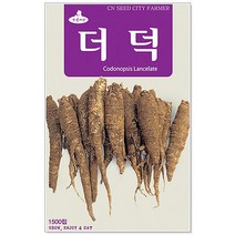 청농종묘 더덕 씨앗 1500립 더덕씨앗 더덕씨 산나물 씨, 19_더덕(1500립)