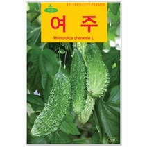 청농종묘 수세미 씨앗 30립 수세미씨 수세미씨앗 씨, 31_여주(10립)