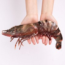 바른씨 프리미엄 킹타이거새우 대하, 3마리, 290g이상