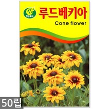봉선화 50립 - 봉숭아 씨앗 봉선화씨 꽃씨 꽃씨앗 씨앗 씨 야생화씨앗 봉숭아씨, 07_청농_루드베키아(50립)