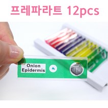 프레파라트 12pcs-만들기키트