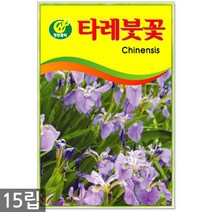 루드베키아 50립 - 꽃씨 꽃씨앗 루드베키아씨앗 씨 야생화씨앗, 20_청농_타레붓꽃(15립)