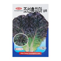 경신종묘 상추씨앗 조선흑치마상추 4g