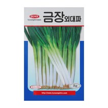 경신종묘 대파씨앗 금장외대파 8g
