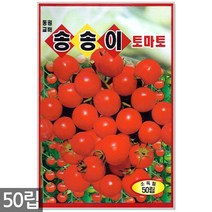 청농종묘 봄배추 씨앗 500립 봄배추씨앗 배추씨앗 배추씨 씨, 09_송송이방울토마토(50립)