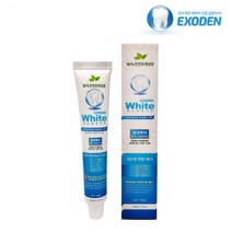 엑소덴 천연미백 치약 화이트치약 40g (미니치약), 1개