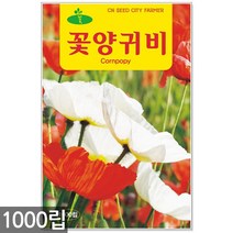유채꽃 씨앗 30g / 유채꽃씨앗 유채꽃씨 유채 꽃씨앗 꽃씨 씨 야생화씨앗 야생화 야생꽃씨, 10_청농_꽃양귀비(1000립)
