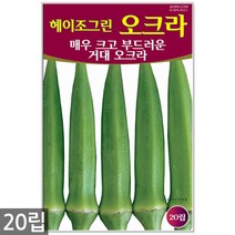 할라피뇨 30립 - 고추씨앗 씨앗 씨 고추씨 멕시코고추 매운고추씨, 09_청농_오크라(20립)