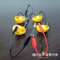에디슨과학키트 과일전지 만들기