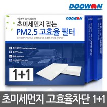 두원 1+1 올뉴 스포티지 자동차 에어컨필터 PM2.5 고효율 BS100